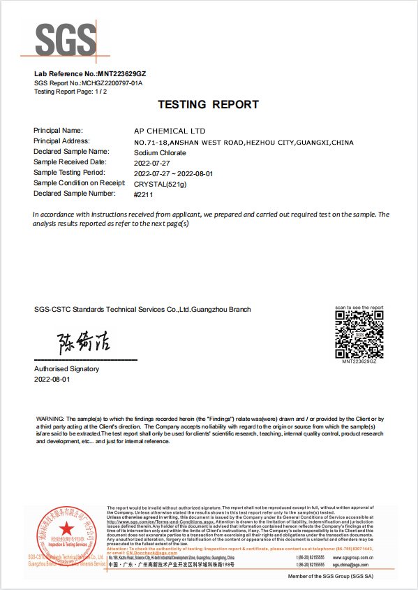 SGS Test Report